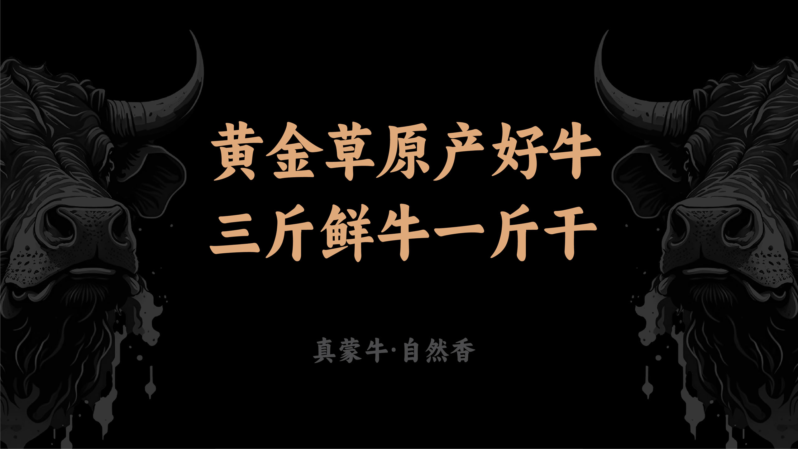 風干牛肉品牌包裝設(shè)計
